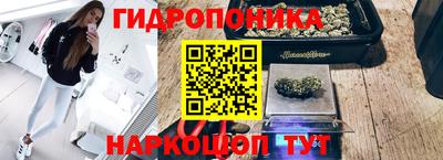 прущие грибы Малоярославец