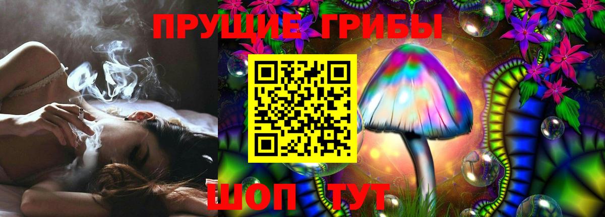 Псилоцибиновые грибы мицелий Великий Новгород
